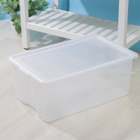 Контейнер для хранения с крышкой Porter, 50 л, 66&times;42&times;26 см, цвет прозрачный