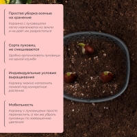 Корзинка для луковичных, овальная, 30.6 &times; 27 см, h = 7.5 см, МИКС