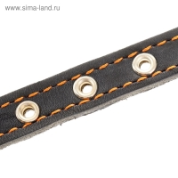 Ошейник кожаный на синтепоне, безразмерный, 37 х 1,5 см, ОШ 21-31 см, синий