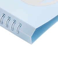 Нотная папка - 30 файлов 60 листов голубая