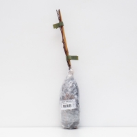 Клематис крупноцветковый "Виолет Элизабет ", 1 шт, туба, Весна 2025