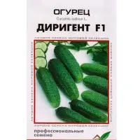 Семена Огурец Диригент F1 6 шт