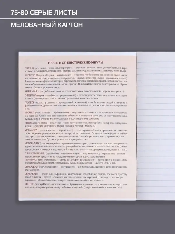 Тетрадь предметная 48 листов в линейку Calligrata &laquo;3D. Литература&raquo;, серые листы