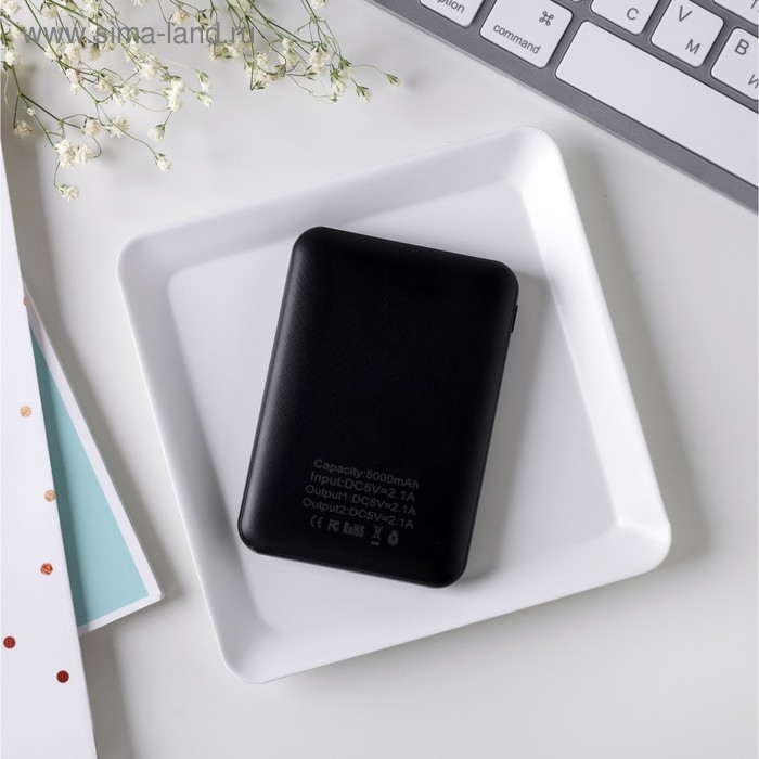 Набор наушники вакуумные и внешний аккумулятор 5000 mAh &laquo;Единорог&raquo;