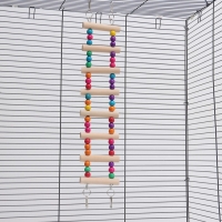 Игрушка для птиц "Лесенка с бусинами", 43 см, микс цветов Игрушка для птиц "Лесенка с бусинами", 43 см, микс цветов