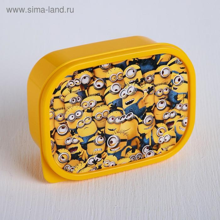 Ланч-бокс прямоугольный 0,5 л Ланч-бокс прямоугольный 0,5 л