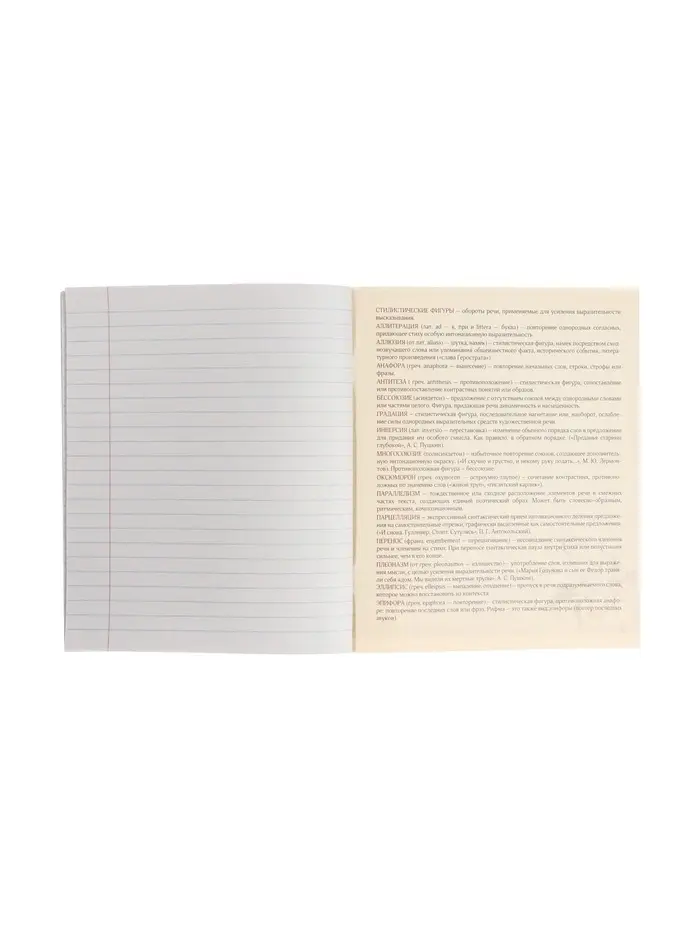 Тетрадь предметная 48 листов в линейку Calligrata &laquo;3D. Литература&raquo;, серые листы