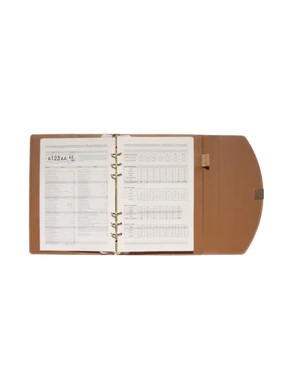 Органайзер на кольцах, A5, с клапаном, 80л, линия, к/зам, Розовый