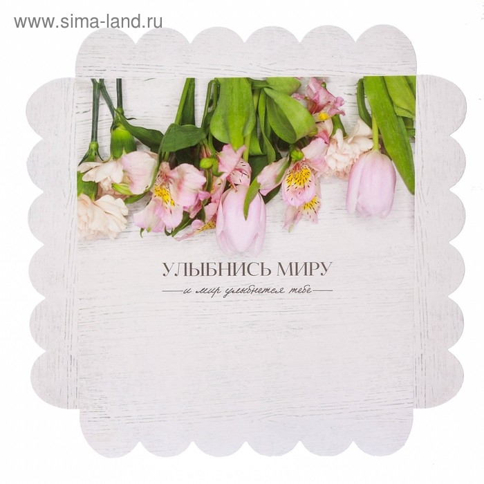 Коробка для печенья, кондитерская упаковка с PVC крышкой, «Улыбнись миру», 21 х 21 х 3 см Коробка для печенья, кондитерская упаковка с PVC крышкой, «Улыбнись миру», 21 х 21 х 3 см