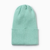 Шапка детская, цвет мята, размер 52-56