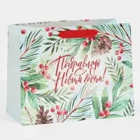 Пакет подарочный новогодний ламинированный &laquo;Магия зимы&raquo;, MS 18 х 23 х 10 см