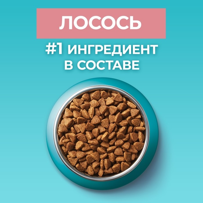 Сухой корм Purina one для стерилизованных кошек, лосось/пшеница, 200 г Сухой корм Purina one для стерилизованных кошек, лосось/пшеница, 200 г