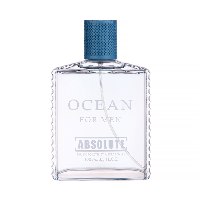 Туалетная вода мужская Absolute Ocean (по мотивам Aqua Pour Homme), 100 мл