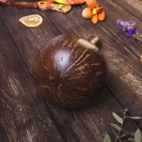 Сувенирный музыкальный инструмент «Маракас», 10×10×20 см, МИКС Сувенирный музыкальный инструмент «Маракас», 10×10×20 см, МИКС