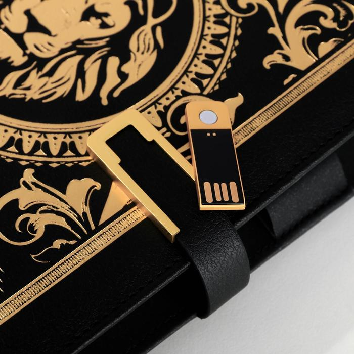 Ежедневник со встроенным зарядным устройством 8000 мАh и флешкой 16 ГБ &laquo;Лев&raquo;, 17,5 х 23,5 см