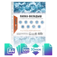 Файл-вкладыш А4, 30 мкм, Calligrata, матовый, вертикальный, 100 штук Файл-вкладыш А4, 30 мкм, Calligrata, матовый, вертикальный, 100 штук