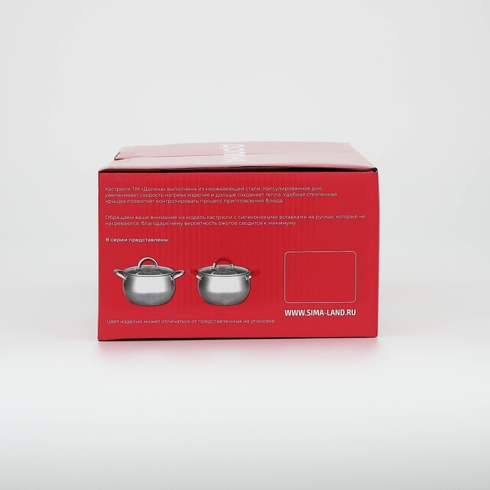 Кастрюля из нержавеющей стали Доляна &laquo;Вернер&raquo;, 1,9 л, d=16 см, с крышкой