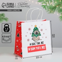 Пакет подарочный новогодний &laquo;А вас также&raquo;, 22 х 22 х 11 см, Новый год