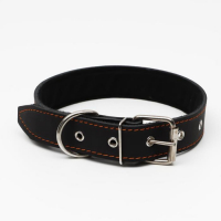 Ошейник кожаный на синтепоне, 70 х 3,5 см, ОШ 45-60 см, чёрный Ошейник кожаный на синтепоне, 70 х 3,5 см, ОШ 45-60 см, чёрный