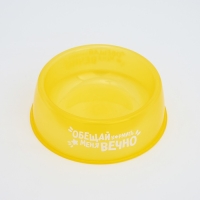 Миска пластиковая «Обещай кормить меня вечно», 300 мл, желтый Миска пластиковая «Обещай кормить меня вечно», 300 мл, желтый