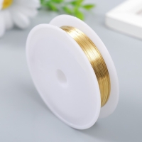 Проволока для творчества "Astra" 0,25 мм, 10 м, золото Проволока для творчества "Astra" 0,25 мм, 10 м, золото