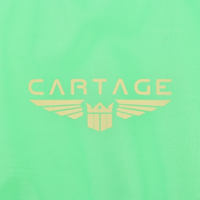 Термосумка Cartage Т-20, салатовый, 10 л, 26х19х19 см