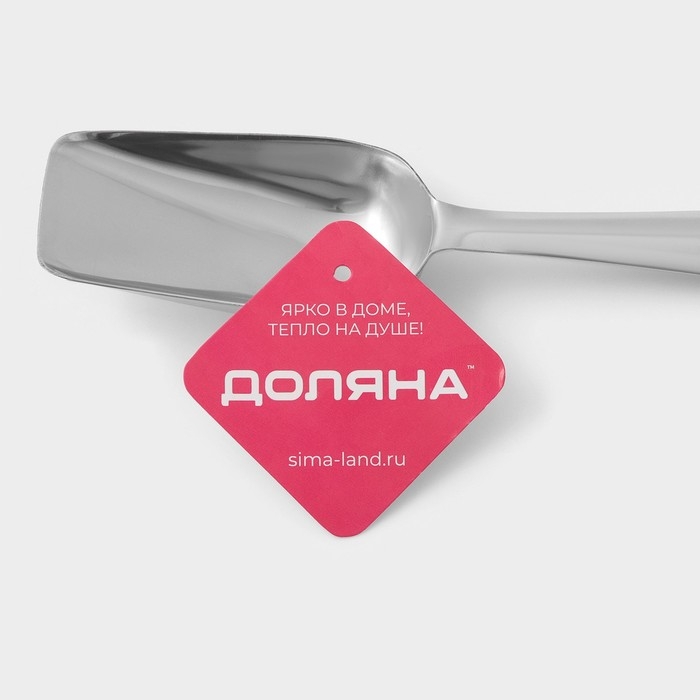Совок для льда из нержавеющей стали Доляна, длина 22,5 см, цвет хромированный Совок для льда из нержавеющей стали Доляна, длина 22,5 см, цвет хромированный