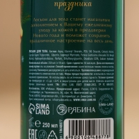 Лосьон для тела «Волшебные истории», 250 мл, аромат яблочный пунш, Новый Год Лосьон для тела «Волшебные истории», 250 мл, аромат яблочный пунш, Новый Год