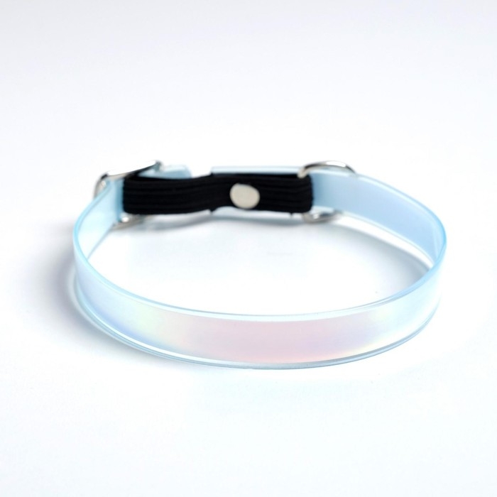 Ошейник для собак и кошек с фастексом &laquo;Неон&raquo; , 30 х 1 см