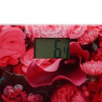 Весы напольные HOMESTAR HS-6001L, электронные, до 180 кг, 1хCR2032, стекло Весы напольные HOMESTAR HS-6001L, электронные, до 180 кг, 1хCR2032, стекло