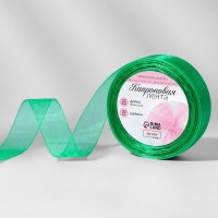 Лента капроновая, 20 мм, 20 &plusmn; 1 м, цвет зелёный №19