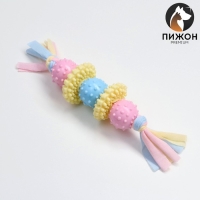 Игрушка жевательная Пижон Premium на верёвке, 5 элементов, термопластичная резина, микс Игрушка жевательная Пижон Premium на верёвке, 5 элементов, термопластичная резина, микс