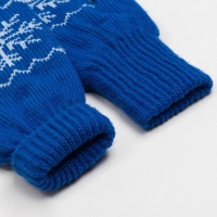 Варежки женские, цвет синий, размер 18 Варежки женские, цвет синий, размер 18