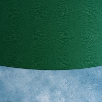 Салфетка сервировочная на стол Доляна &laquo;Тэм&raquo;, 44&times;35,5 см, цвет зелёный