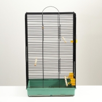 Клетка для птиц "Рикки 4" 48х 36 х 81 см, микс цветов Клетка для птиц "Рикки 4" 48х 36 х 81 см, микс цветов