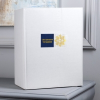 Фигура акриловая &laquo;Динозавр&raquo; 30 см, 40 LED, 220 В, свечение белое