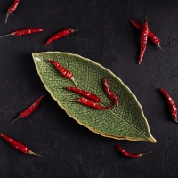 Блюдо керамическое сервировочное &laquo;Дендрарий&raquo;, 26&times;10,5&times;1,5 см, цвет зелёный