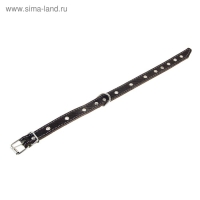 Ошейник комбинированный кожа/брезент, 46 х 2 см, безразмерный микс цветов Ошейник комбинированный кожа/брезент, 46 х 2 см, безразмерный микс цветов