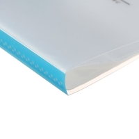 Папка формат А4, с 40 прозрачными файлами "Река", МИКС Папка формат А4, с 40 прозрачными файлами "Река", МИКС