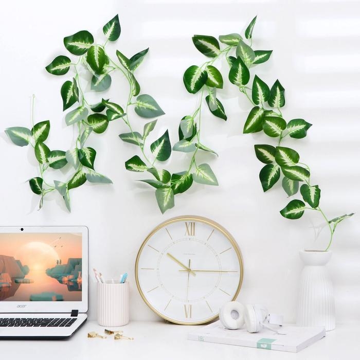 Лиана Лиана "Антуриум Андрэ" 220 см