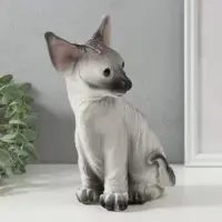 Копилка "Котенок Сфинкс" 22 х 10 х 21 см.