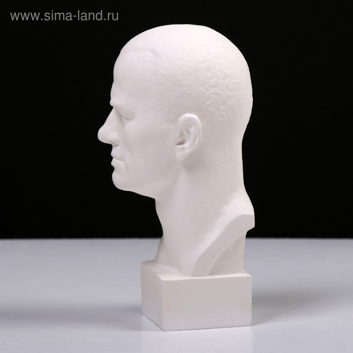 Гипсовая фигура известные люди: Бюст Маяковского, 9,5 х 11 х 23 см