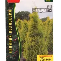 Семена цветов Туя Складчатая 0,1 г.  12.29 г.