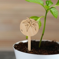 Таблички садовые для маркировки, 12 см, набор 8 шт., дерево, &laquo;Помидор&raquo;, Greengo