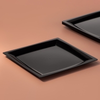 Тарелка пластиковая одноразовая, 17,2&times;17,2 см, квадратная, плоская, МИКС