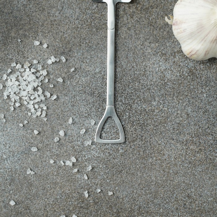 Ложка десертная из нержавеющей стали Magistro &laquo;Лопата&raquo;, длина 15,5 см, форма прямоугольная, цвет серебряный