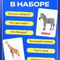 Магнитные карточки по методике Домана &laquo;Животные&raquo;, 32 карты, 3+
