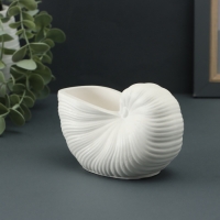 Гипсовая ваза декоративная настольная &laquo;Ракушка&raquo;, для цветов, сухоцветов, 8&times;13х7см, белый