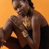 Кольцо &laquo;Змея&raquo; изогнутая, цвет чернёное золото, безразмерное