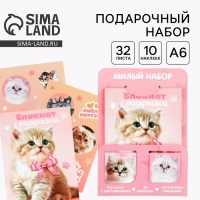 Набор блокнот А6, 32 листа, наклейки, магнитные закладки &laquo;Милый котенок&raquo;